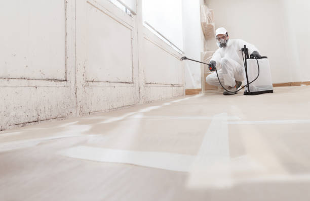 24/7 Emergency Mold Testing experts in Coopersville, MI