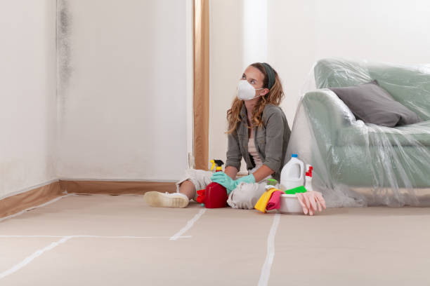Reliable Mold Testing contractor in Coopersville, MI by WQB Mold Removal