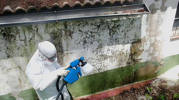 Top rated local Mold Testing specialists in Coopersville, MI
